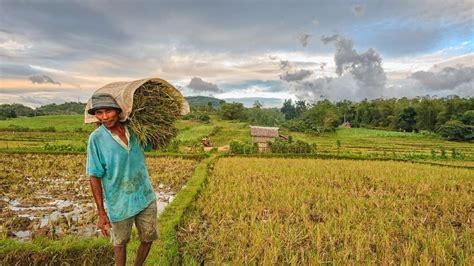 Petition · Justice for Filipino Farmers - Philippines · Change.org