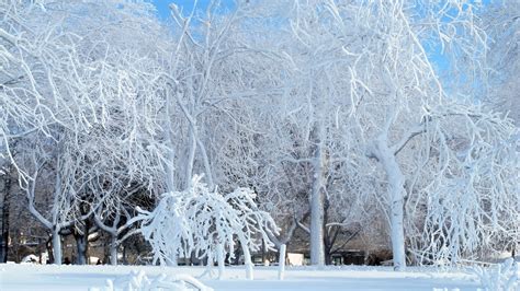 Cold turns Niagara Falls into icy winter wonderland - WIZM 92.3FM 1410AM