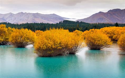 South Island, New Zealand wallpaper | nature and landscape | Wallpaper ...