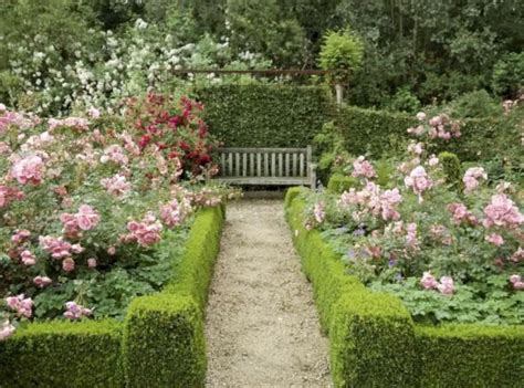 47 Amazing Rose Garden Ideas on This Year ~ Matchness.com