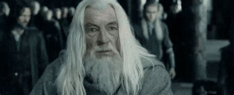 Lords Of The Rings Gandalf GIF - Lords Of The Rings Gandalf Funny - Discover & Share GIFs ...