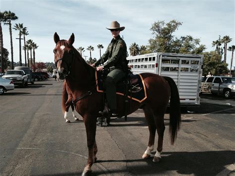 Border Patrol wants to hire more women - The San Diego Union-Tribune