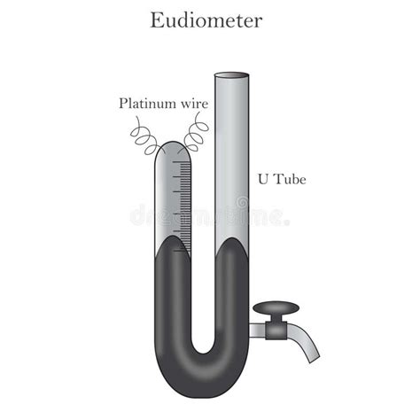 Eudiometer Diagram Stock Illustrations – 1 Eudiometer Diagram Stock ...