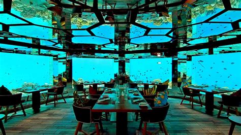 Anantara Kihavah Resort, Maldives | Underwater hotel, Underwater restaurant, Maldives villas