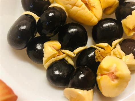 Ackee Seeds Blighia sapida Seeds ONLY 5 graines. Cultivez | Etsy