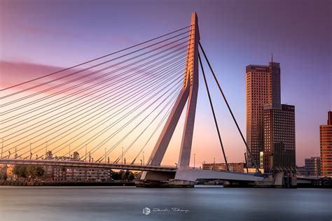 Erasmus Bridge, Netherlands