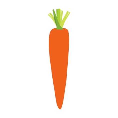 A beautiful carrot vector art work. 23512561 Vector Art at Vecteezy