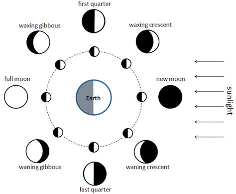 Curious Kids: Why can I sometimes see the moon during the day? - The Conversation - ABC ...