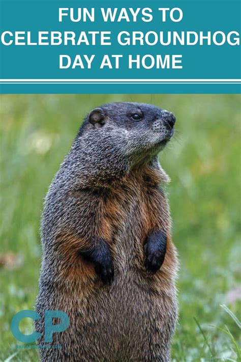 Fun Ways to Celebrate Groundhog Day At Home | Groundhog day, Groundhog, Fun