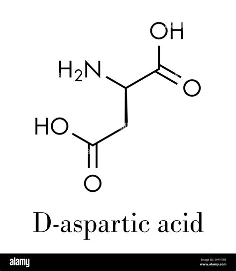 D-aspartic acid (D-aspartate) amino acid molecule. Skeletal formula ...