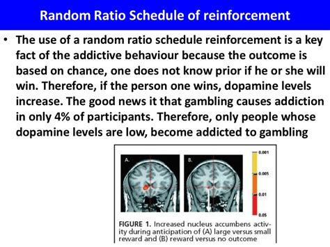 Pathological gambling - dopamine reward system