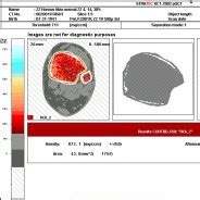 Veterinary Micro CT | Veterinary Imaging Consultants