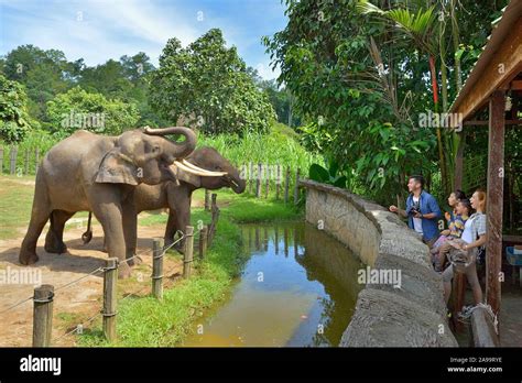 Lok Kawi Wildlife Park, Sabah, Malaysia Stock Photo - Alamy