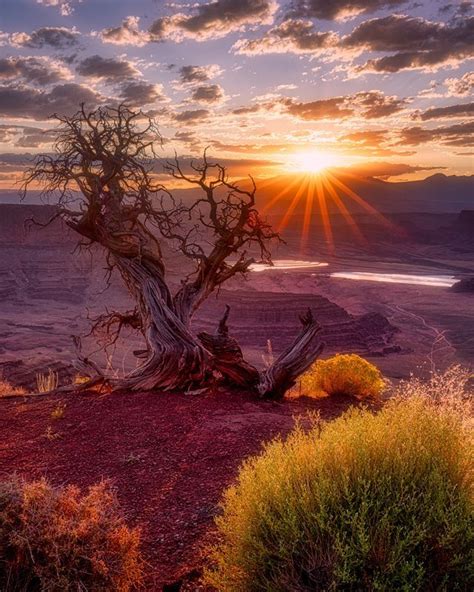 Dead Horse Point State Park Sunrise | Lars Leber Photography