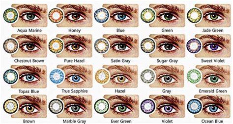 Eye Color Genetics Chart