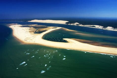 La filière | Les Huitres du Bassin d'Arcachon et du Cap Ferret