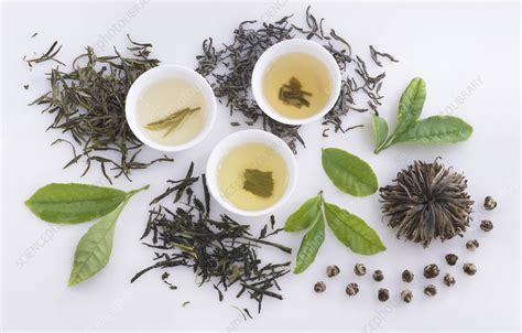 Varieties of green tea - Stock Image - C056/0047 - Science Photo Library