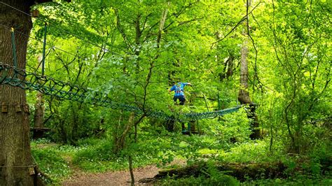 Visit Lough Key Forest and Activity Park with Discover Ireland