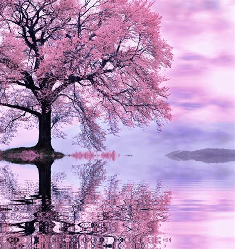 d1e59332.gif (800×850) | Beautiful nature, Live wallpapers, Pink live