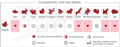 Year of the Rabbit: Zodiac Luck, Romance, Personality...