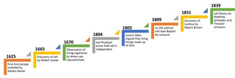 Cell theory 3 parts | Timeline for Cell Theory