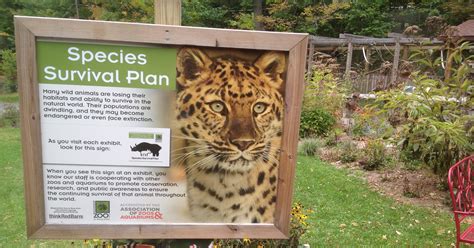 Binghamton Zoo loses accreditation