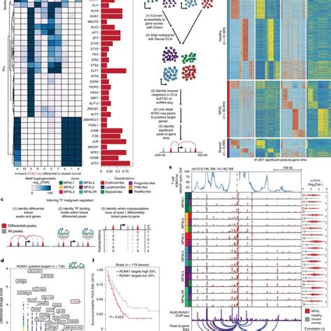 Analysis workflows for processing of scRNA-seq and scATAC-seq ...