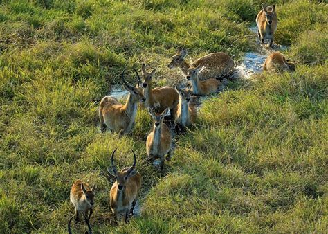 Visit The Kafue National Park in Zambia | Audley Travel