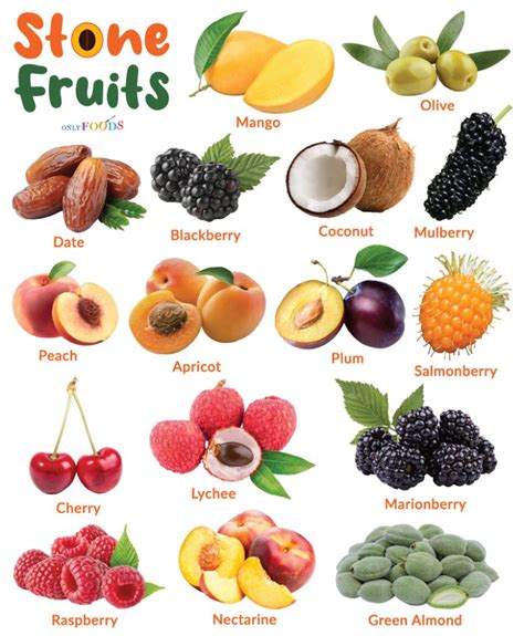 List of Stone Fruits With Pictures