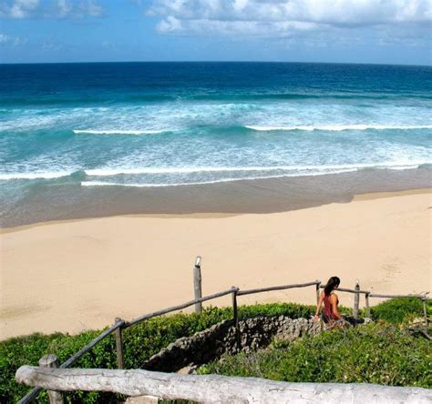 Tofo, Mozambique beach. Mozambique Beaches, Africa Travel, Holiday Destinations, Tree House, Big ...