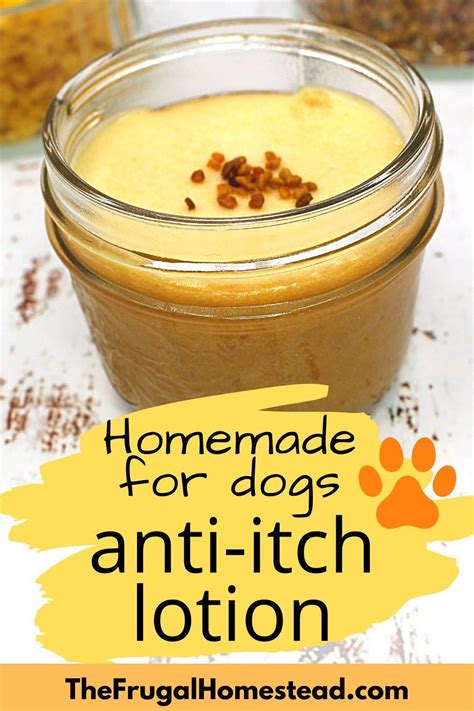 Easy Natural Hot Spot Cream for Dogs with Seasonal Allergies - The Frugal Homestead | Dog ...