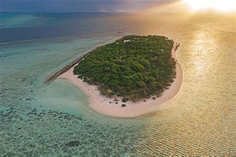 Heron Island is a Wildlife-Lover's Paradise | Travel Insider