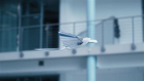 Robotic birds capable of amazingly realistic flight shown off by German company | Science ...