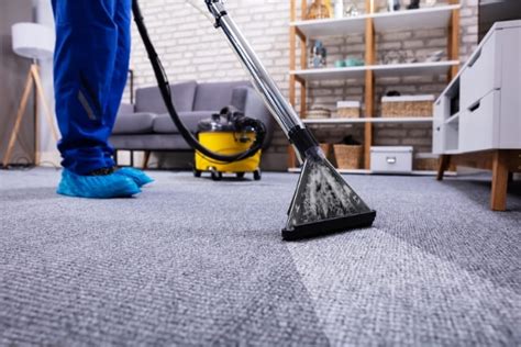 Reliable Carpet Cleaning Service Near Me | Same Day Service| 1 Trusted