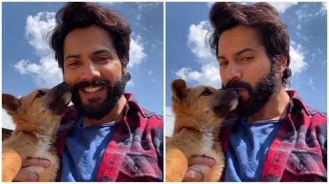 "Dogs Of Bhediya" Varun Dhawan Shares A Cute Video Kissing Dog