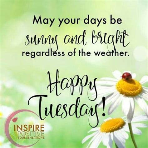 Happy Tuesday Quotes for Motivation, Tuesday Morning Sayings