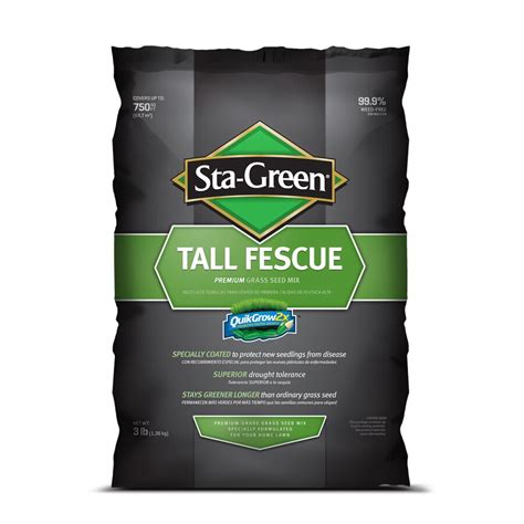 Shop Sta-Green 3-lb Tall Fescue Grass Seed at Lowes.com