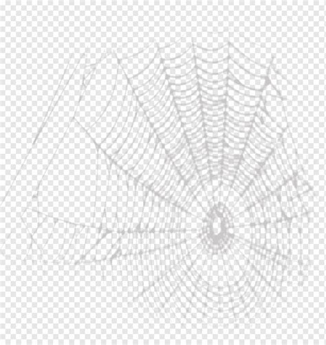 Spider web Drawing, Cartoon spider web painted material, watercolor Painting, cartoon Character ...