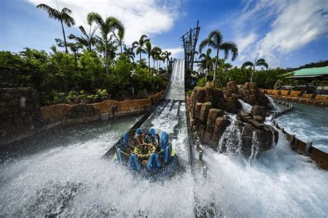 Best Rides at SeaWorld - The Top 10 Attractions at SeaWorld Orlando