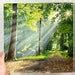 Welcome Home, Fine Art Glicée Print, Forest Painting, Sunlight, Sun ...