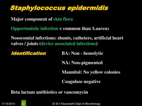 PPT - Gram Positive Cocci (GPC) PowerPoint Presentation - ID:6660508