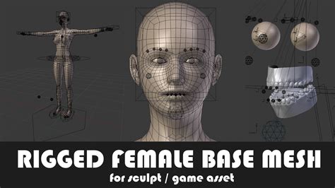 3D model Fully Rigged Female Base Mesh with Face Rig for Blender VR ...