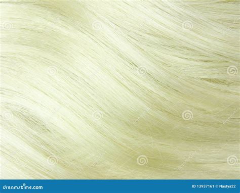 Blond hair wave texture stock image. Image of isolated - 13937161