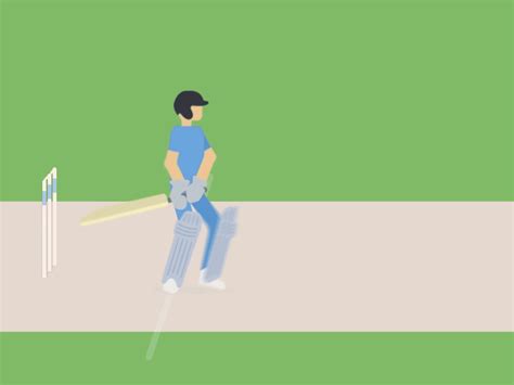 Cricket by Ashwanth on Dribbble