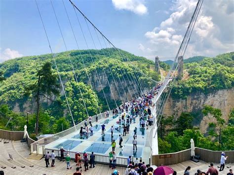 Glass Bridge - The Grand Canyon of Zhangjiajie, Zhangjiajie Traveller ...