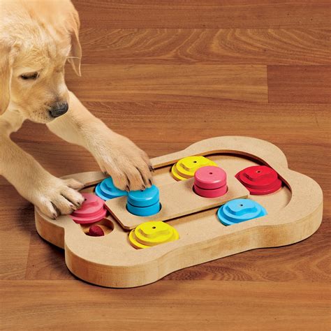 Busy Bone Interactive Dog Treat Dispensing Wood Puzzle | Collections Etc.