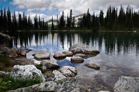 5 of the best hikes in Revelstoke | Revelstoke