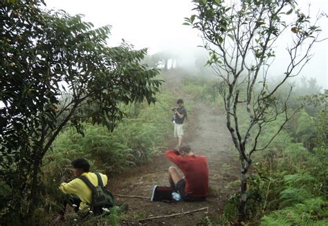 hiking at doi inthanon, hiking at doi inthanon national park, trekking ...