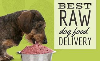 Best Raw Dog Food Delivery: Ship It Straight To Your Door | Canine Journal