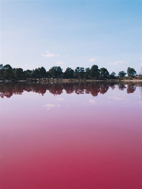 A Lake with Pink Water · Free Stock Photo